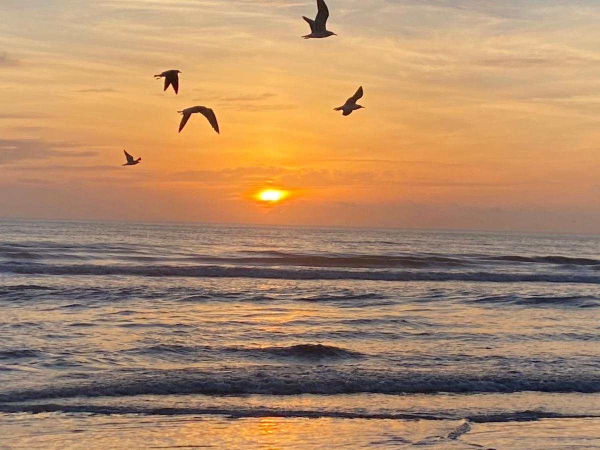 I Need A Vacay Now! Remodeled Studio Daytona Beach Zewnętrze zdjęcie
